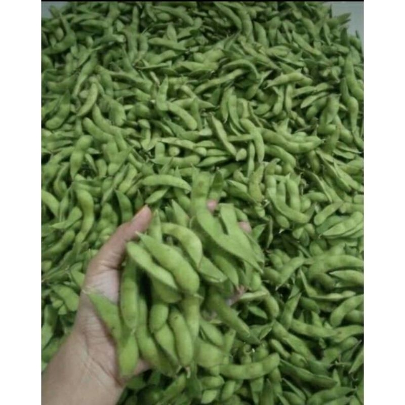 

Edamame 1kg/Kedelai Edamame Fresh