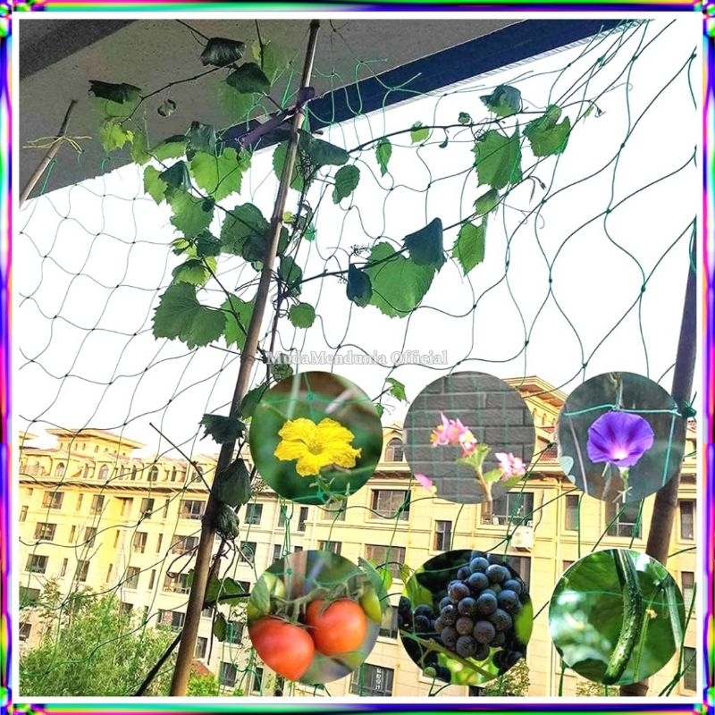 Jaring Tanaman Buah Anggur Sayuran Anti UV/Jaring Tanaman Rambat Merambat Kuat dan Tahan Cuaca