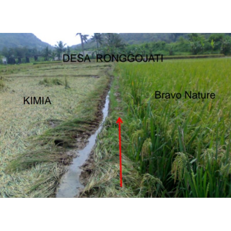 Bravo Nature Bravo Nature