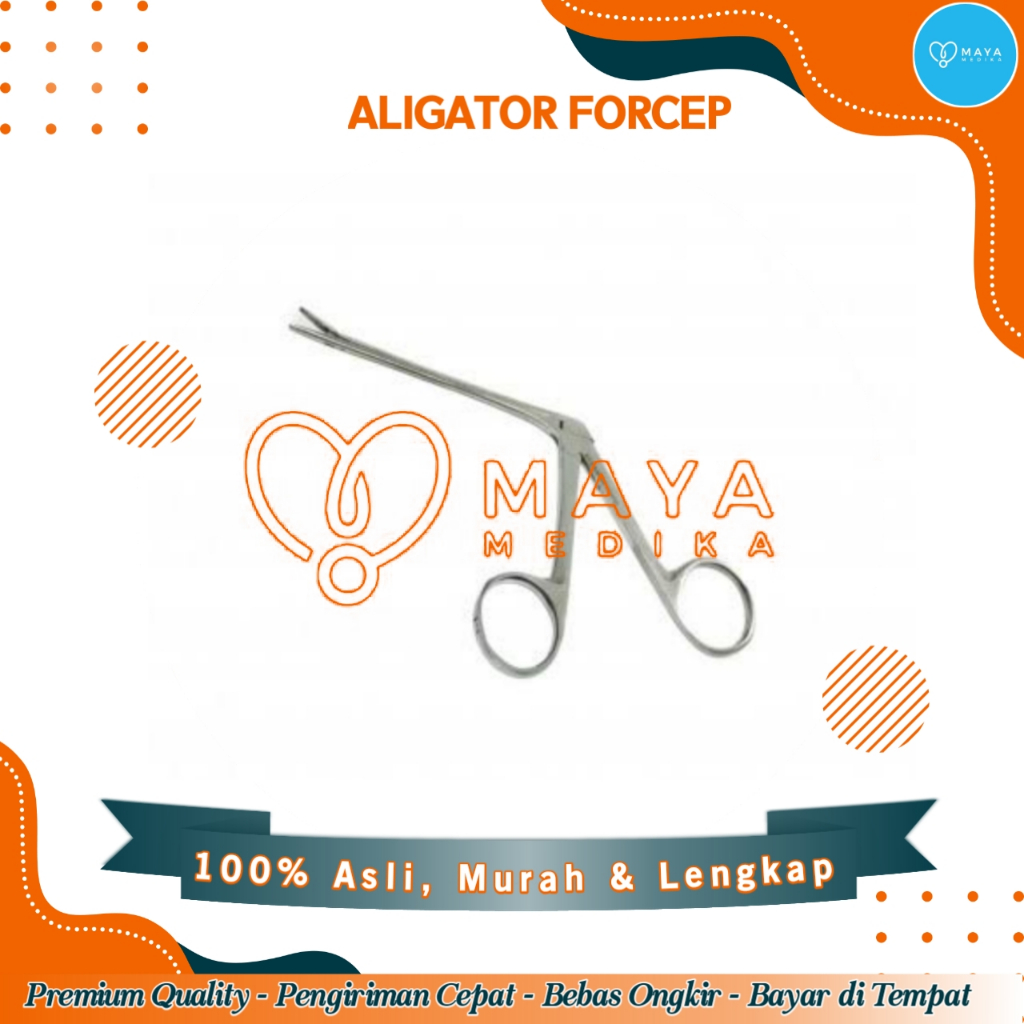Aligator Forcep Stainless