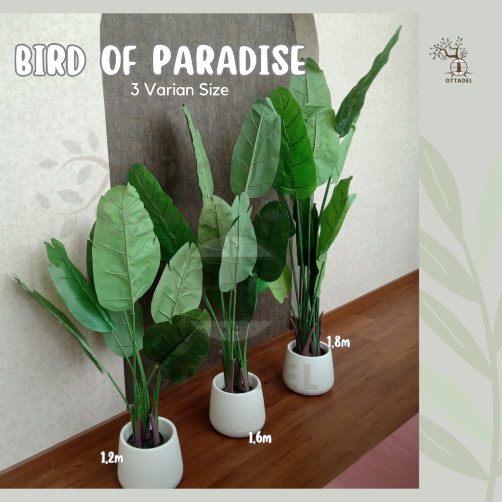 Ottadel Artificial Tree Plus Pot / Tanaman Hias Pohon Pisang Free Pot / Pohon palsu / Pisang-pisanga