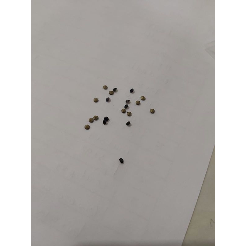 PERMATA JAM TANGAN WANITA GUESS TYPE W1053L1, W1053L2, W1053L7