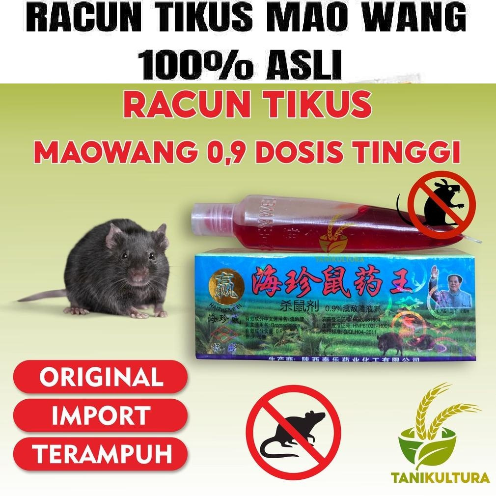 RACUN TIKUS MAO WANG CAIR