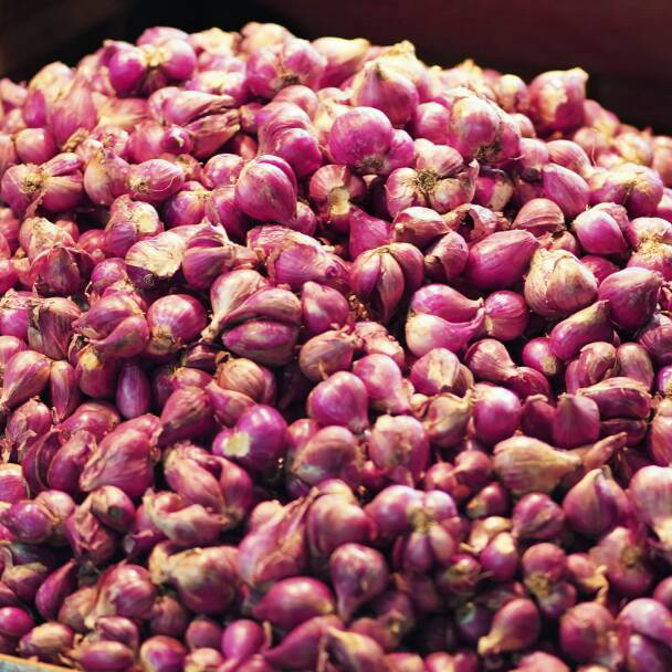 

RCYJ8757 Bawang Merah Super 500 gr