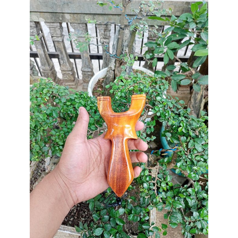 Ketapel ikan kayu Sawo plus karet 1745 dan sujen