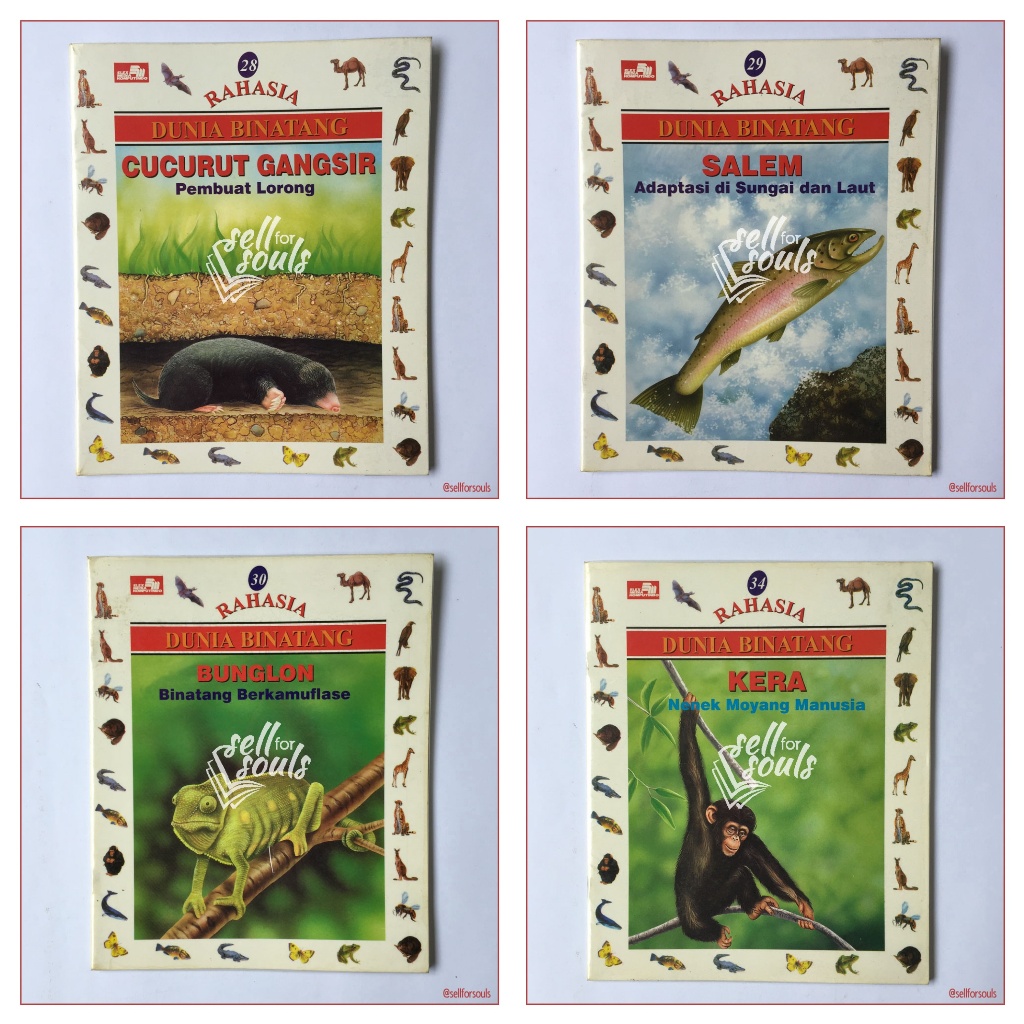 [PB] Buku Pengetahuan - Seri Rahasia Dunia Binatang