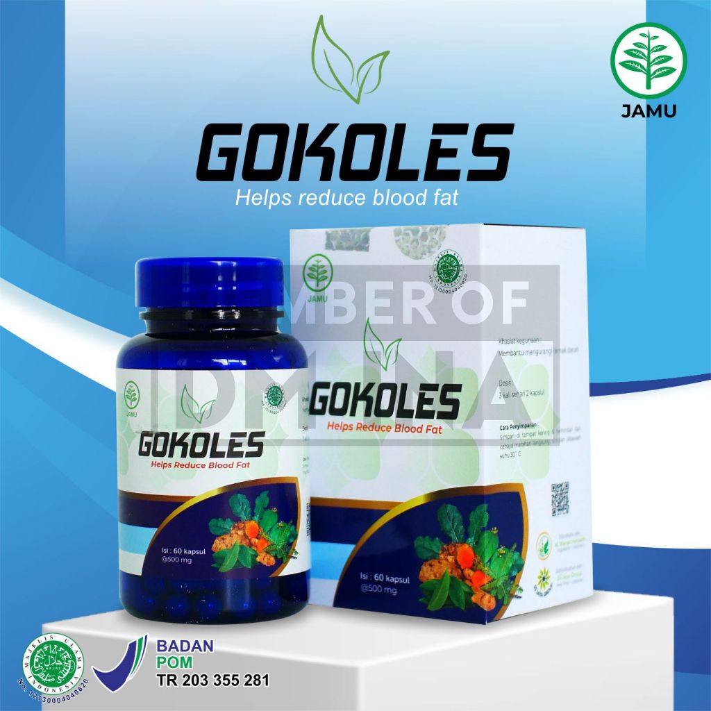 GOKOLES OBAT KOLESTEROL AMPUH ORIGINAL