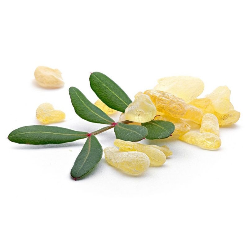 

Mastic Gum / Greek Chios100% Natural 5 Gr