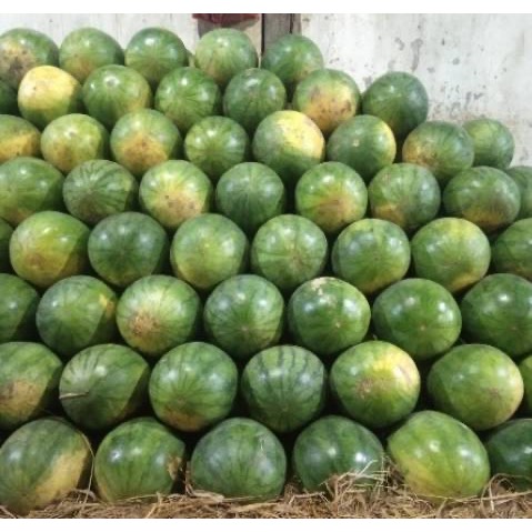 

Buah Semangka Merah Kuning Fresh