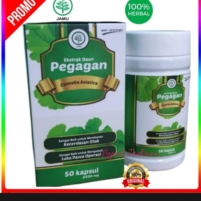 

pegagan