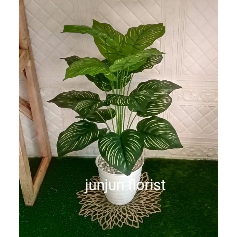 tanaman hias plastik keladi hijau garis pot tawon//bunga sudut keladi garis pot tawon