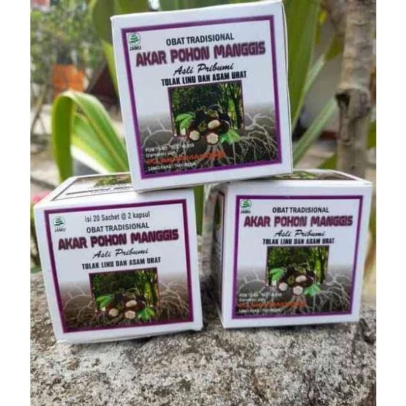 

Akar pohon manggis asli 20 kapsul