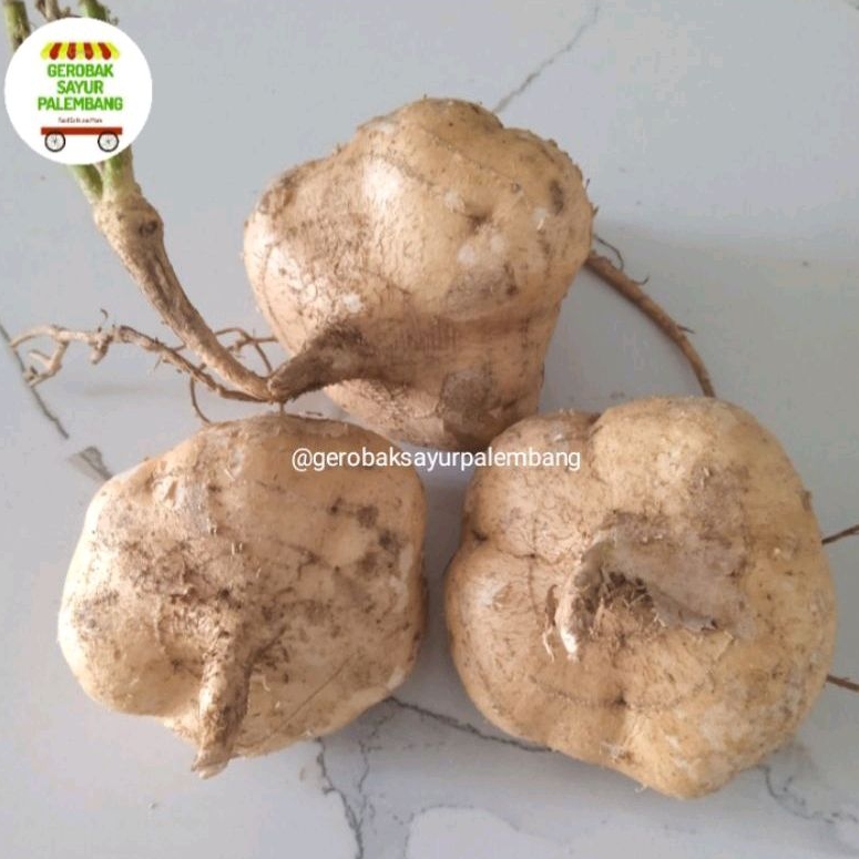 

Bengkoang 500 gr - Gerobak Sayur Palembang