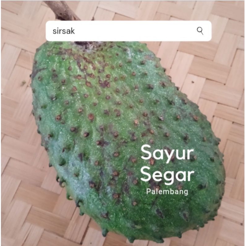 

Sirsak Per buah Sayur Segar Palembang