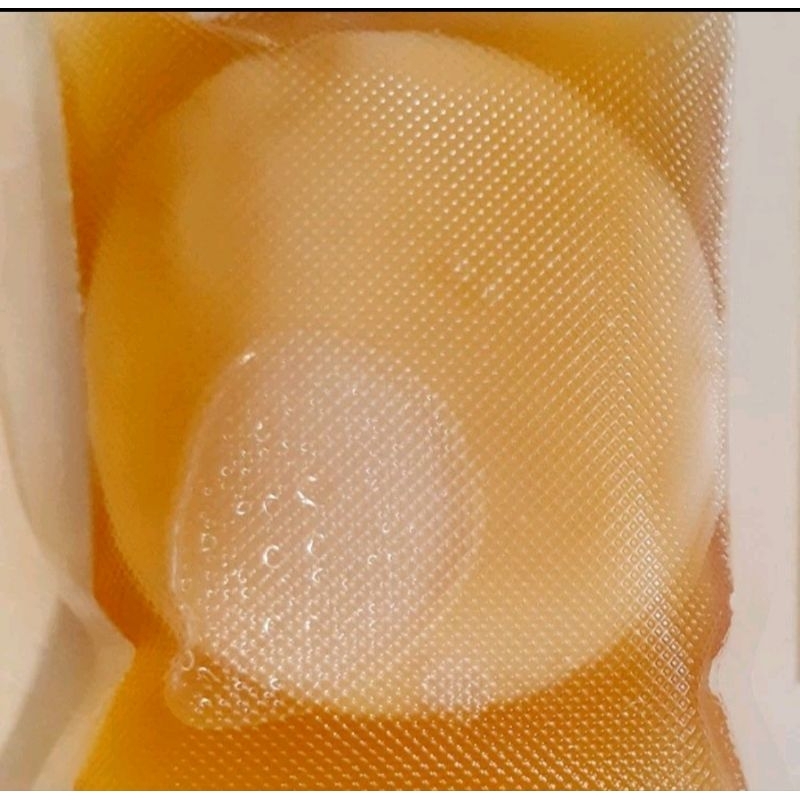 Bibit scoby jamur teh kombucha