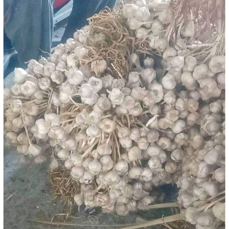 

Bawang putih lokal 1kg