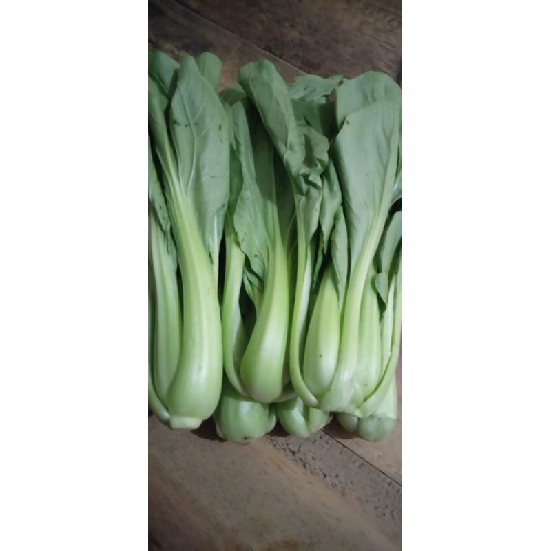 

pakcoy segar 500g