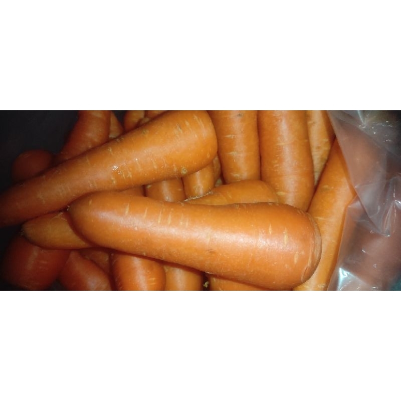 

wortel besar berastagi