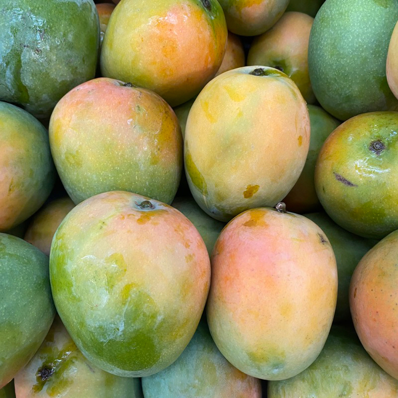 

Mangga gedong gincu super | Buah mangga gincu | mangga gedong 1 kg