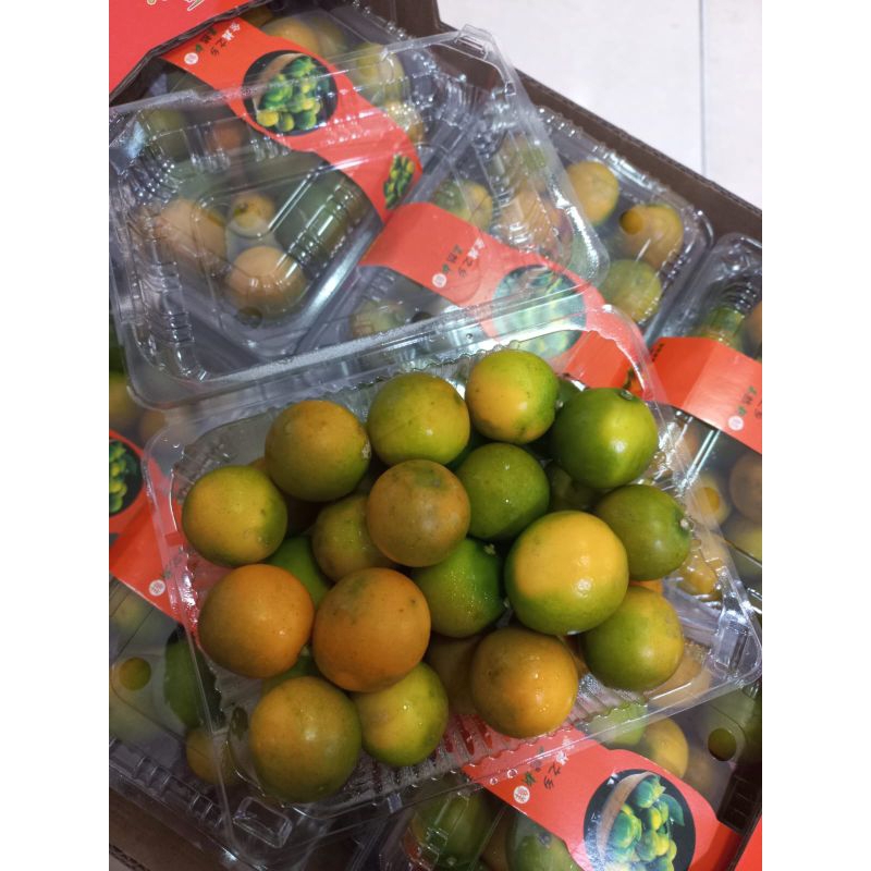

JERUK KIMKIT MIRIP KIETNA ENAK DAN FRESH