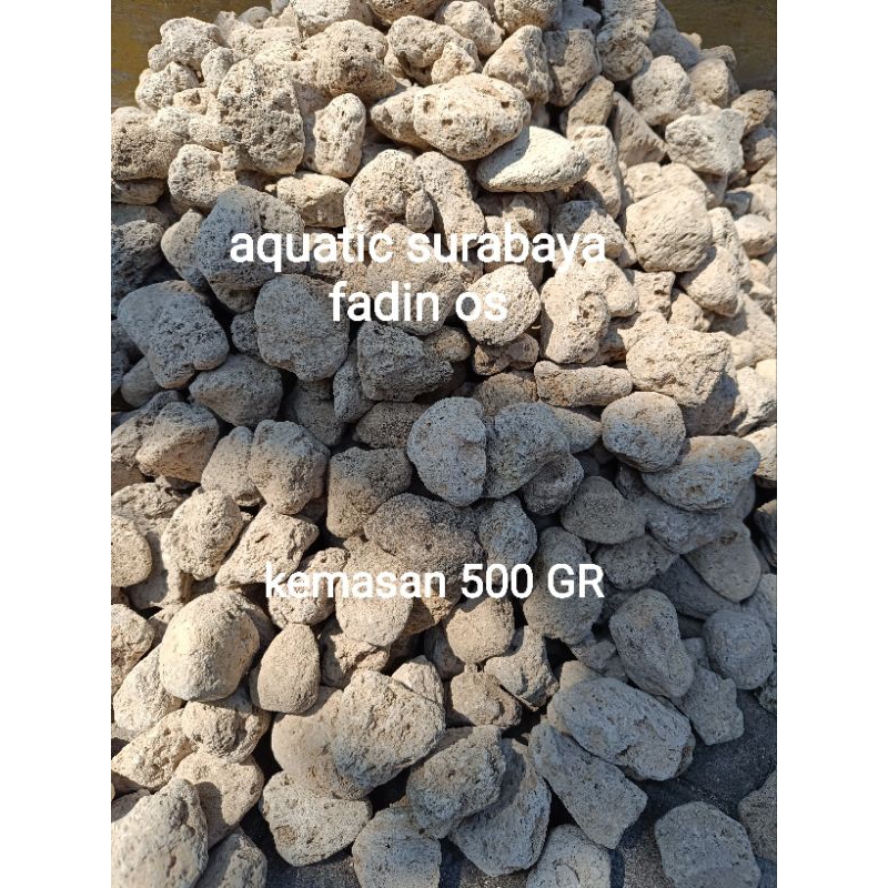 BATU APUNG FILTER 500 GR BATU APUNG FILTER AQUARIUM KOLAM PUMICE STONE FILTER MEDIA