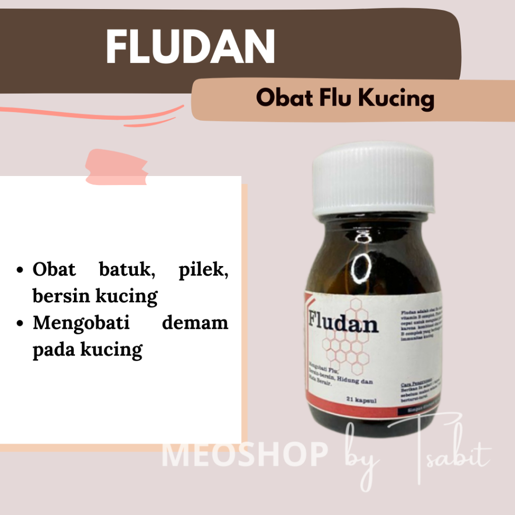 FLUDAN | OBAT FLU KUCING | OBAT FLU KUCING KAPSUL