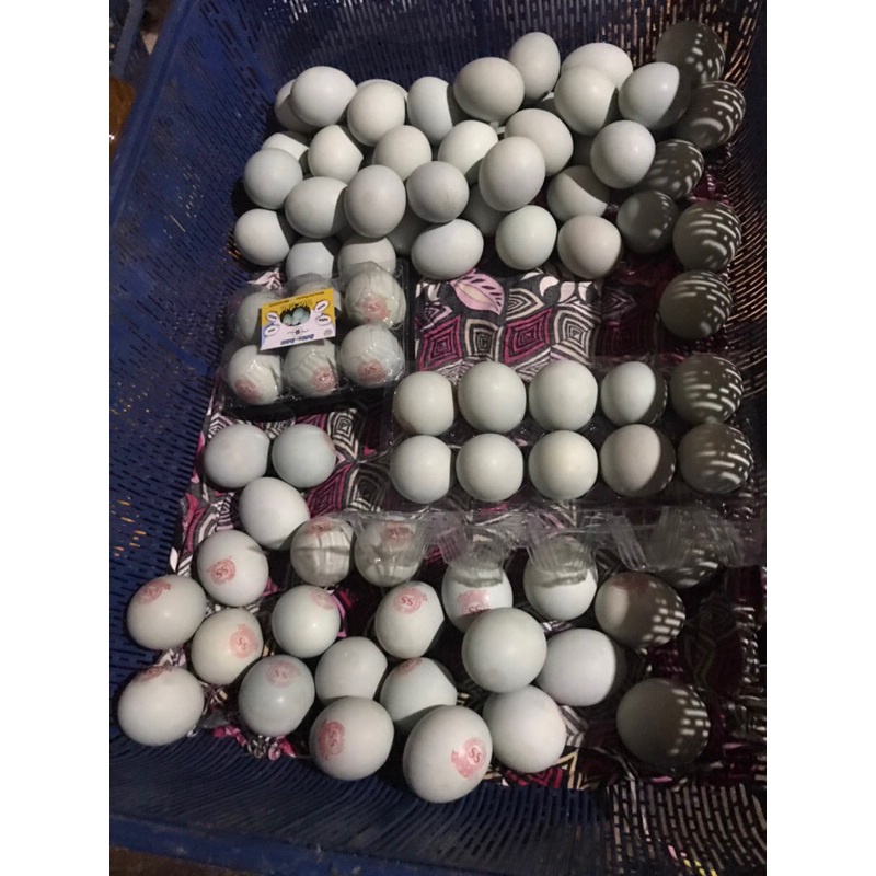 

TELOR ASIN MATANG, FRESH MASIR BERMINYAK GREAT AB (Packing isi 6 pcs)