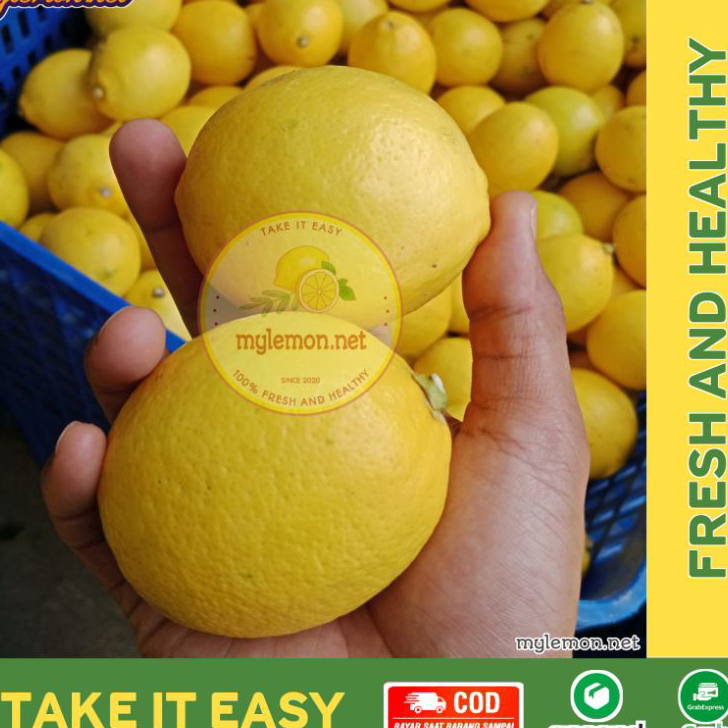 

Murah Lemon California Fresh 1 Kg / 1000 gram Isi 7-12 | Cocok Untuk Infused Water | [MYLEMON.NET]