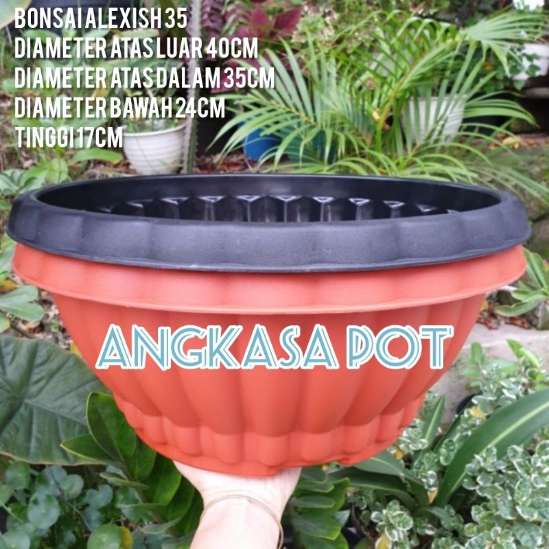 Pot bunga BONSAI ALEXISH DELIMA 35 Pot bonsai bulat besar