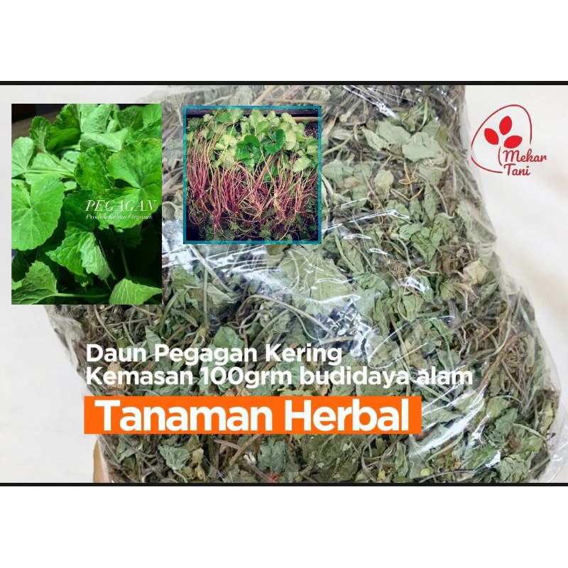 

Daun antanan kering pegagan/antanan kemasan 100grm siap seduh