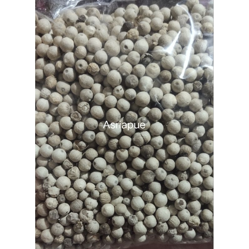 

Lada Sahang Biji 500 Gram Fresh