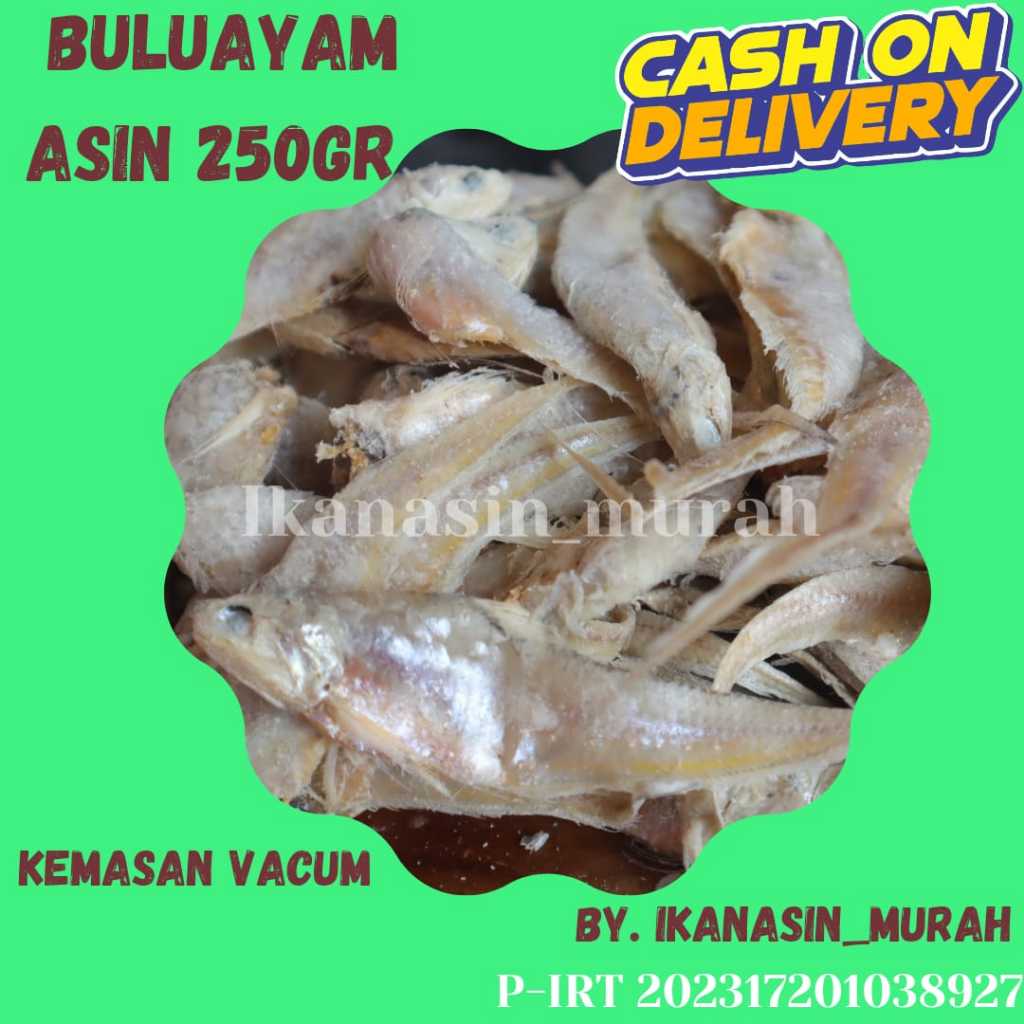 

IKAN BULUYAM TAWAR / BULUAYAM ASIN 250GR / IKAN ASIN MURAH BISA COD