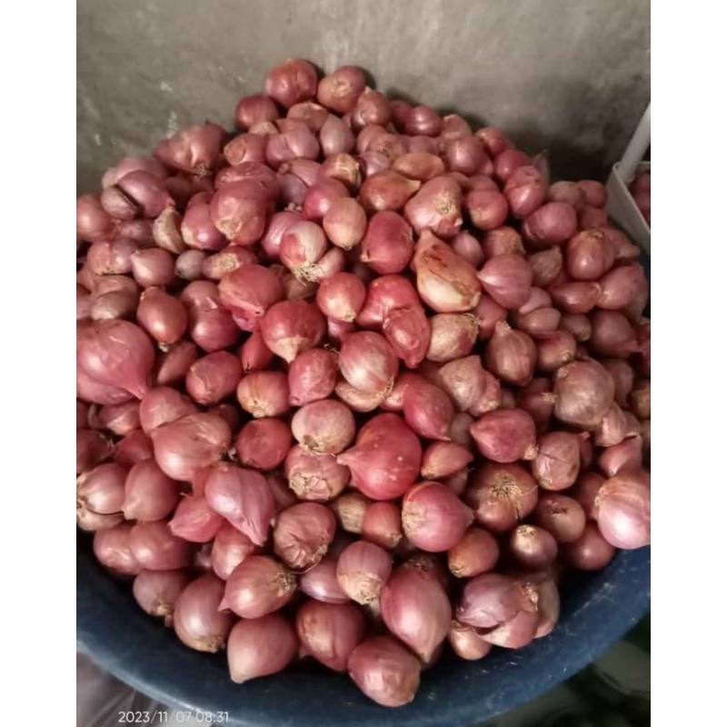 

BAWANG MERAH SUPER/500GRAM