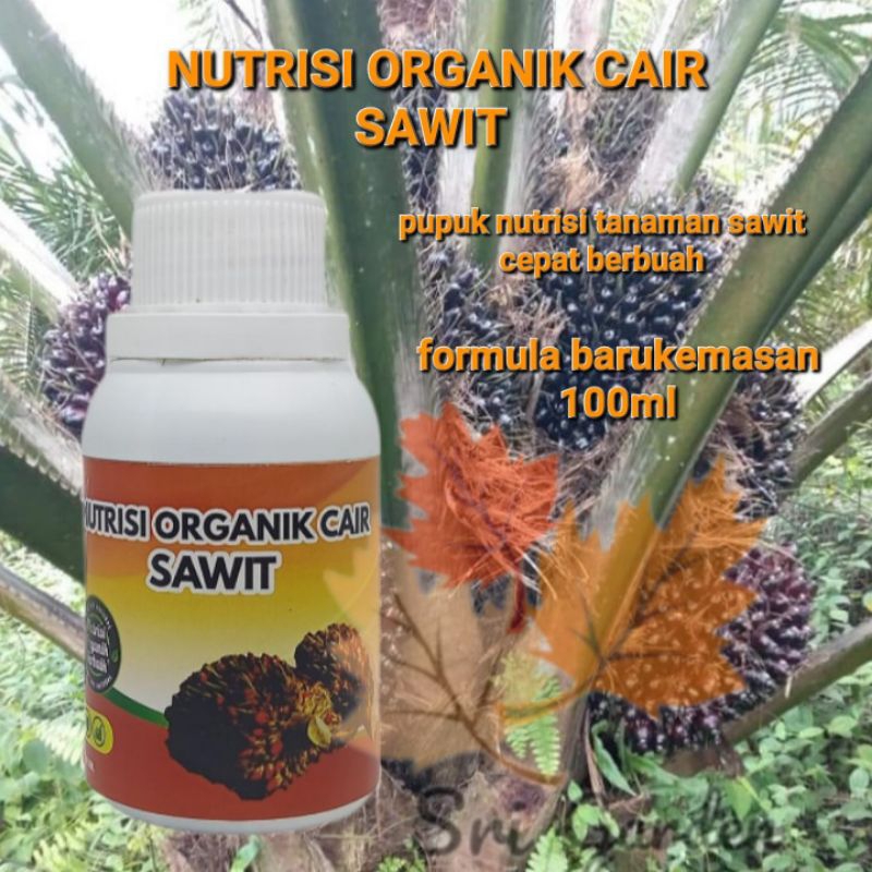 Pupuk sawit cepat besar berbuah booster cair tanaman sawit agar subur dan berbuah lebat