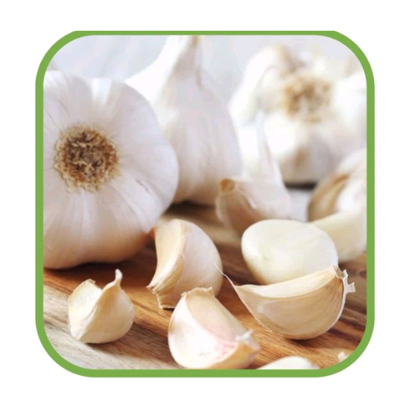 

Bawang Putih Kating Super Sayur Segar