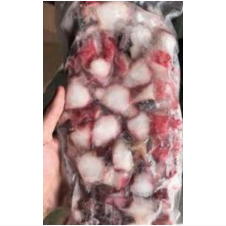 

Gurita Tako Octopus 1kg
