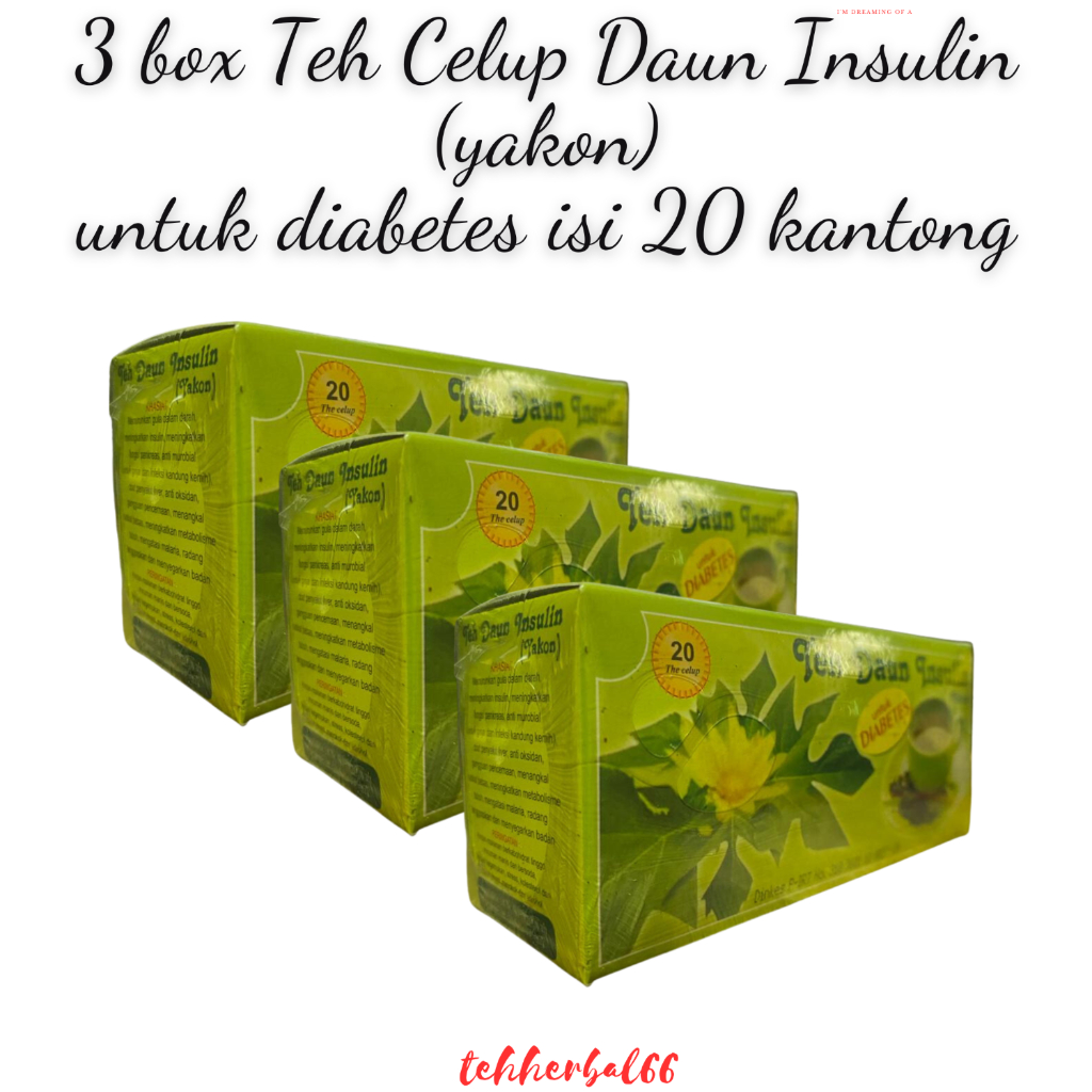 

3 box Teh Daun Insulin (Yakon) Teh Celup - Untuk Diabetes isi 20 kantong celup