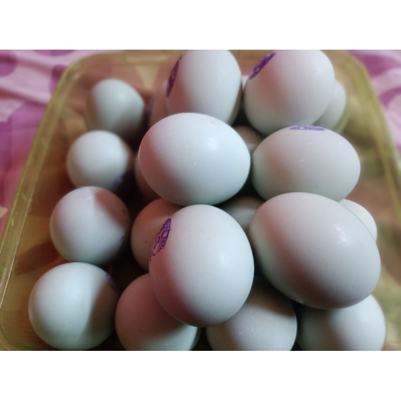 

Telur Asin isi 6 butir