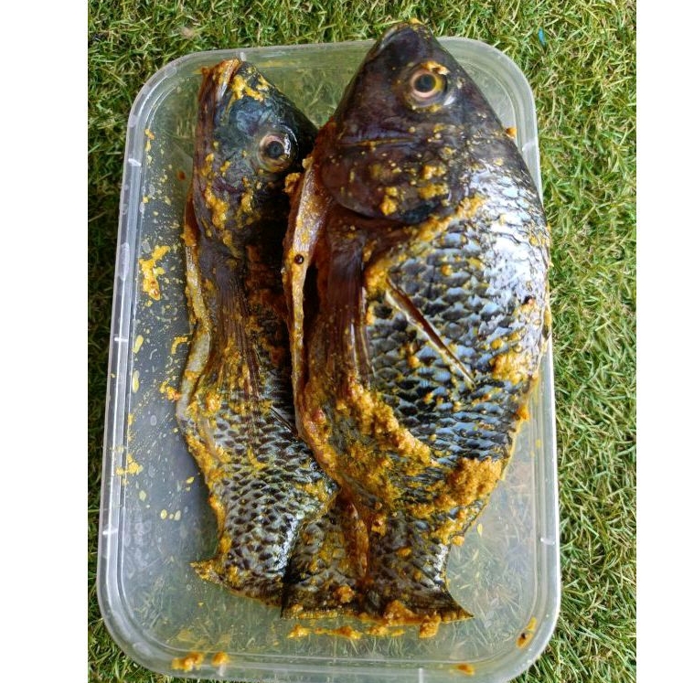 

Ikan nila bumbu kuning frozen