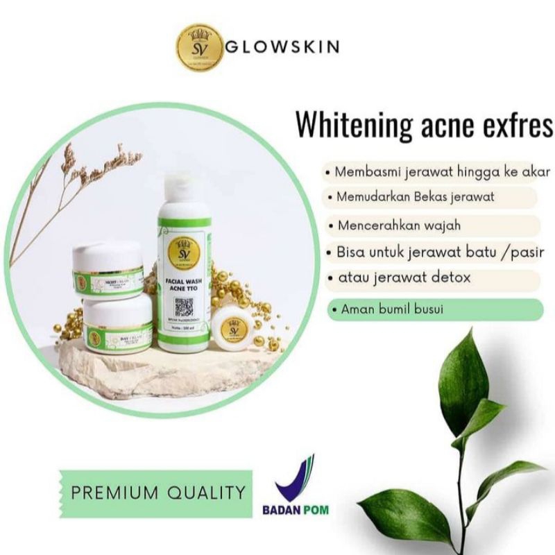 SV GLOWSKIN PAKET ACNE EXFRES