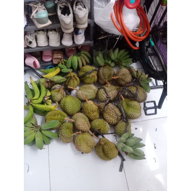 

paket usaha duren (dkrm resi saja)