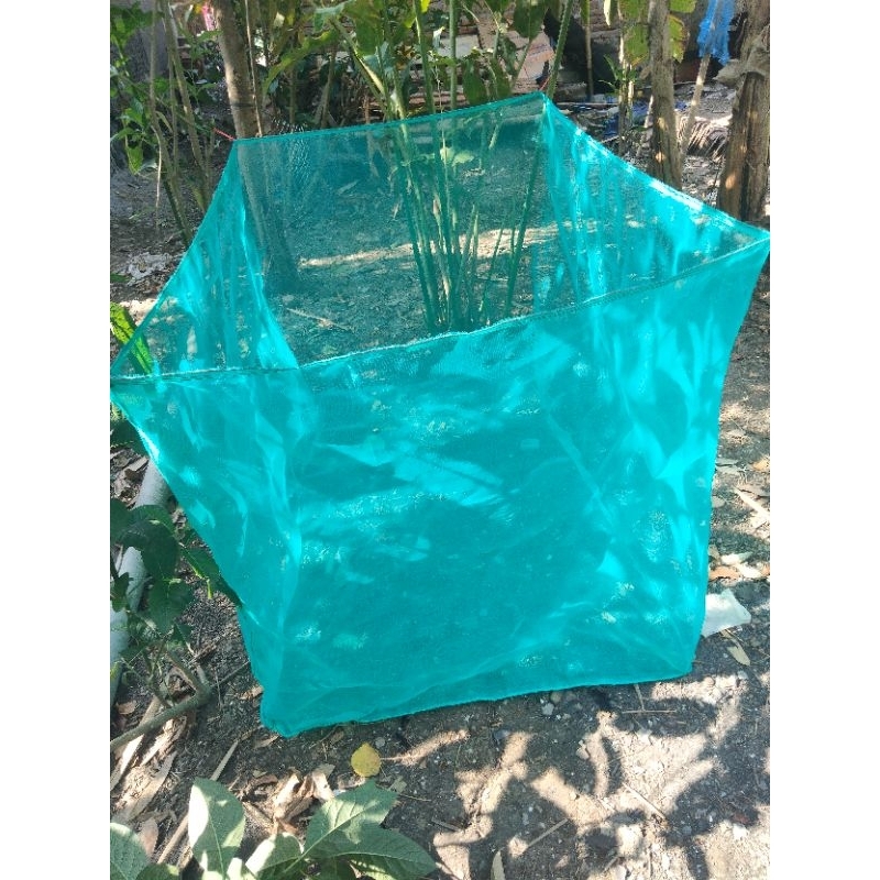 jaring ikan hapa ikan