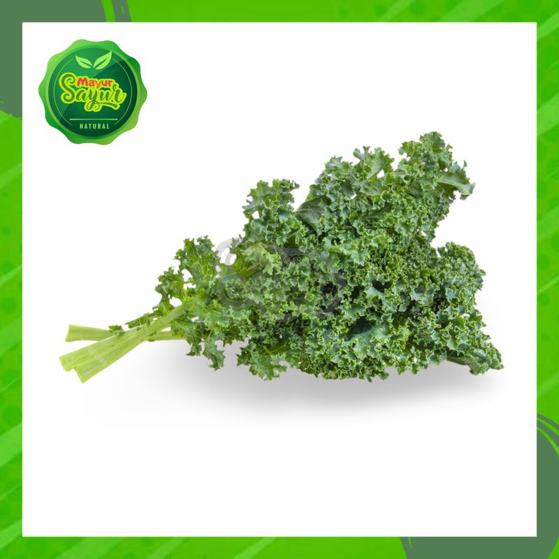 

KIRIM INSTAN Sayur Import Kale / Per Pack