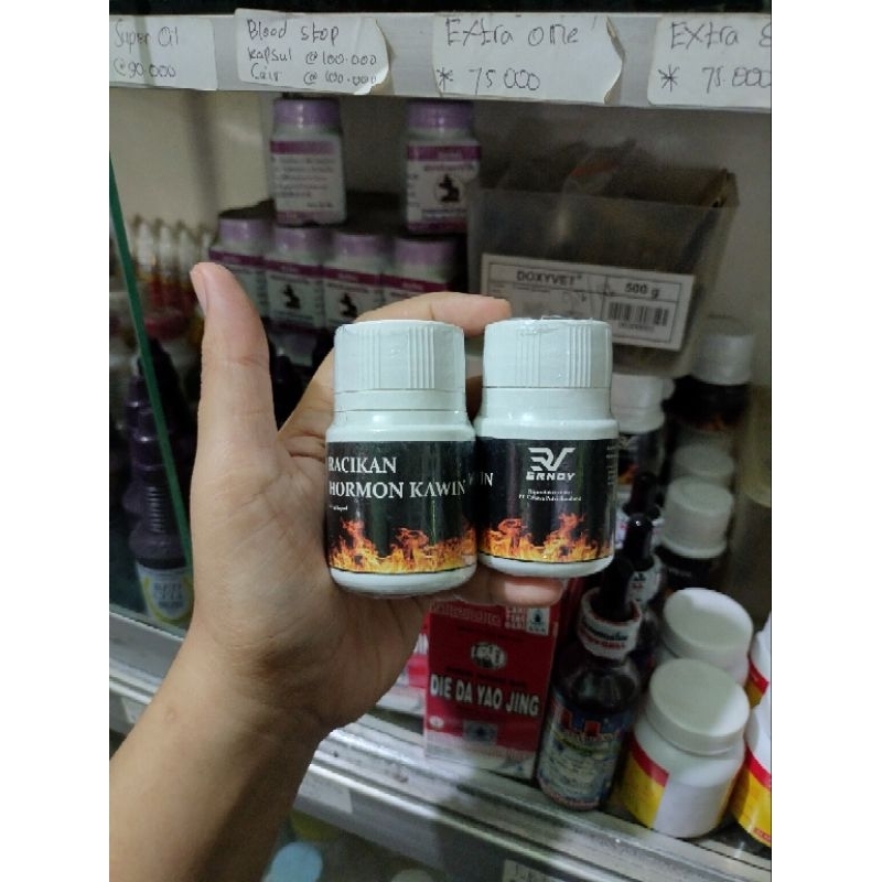 ERNOV HORMON KAWIN AYAM DAN UNGGAS