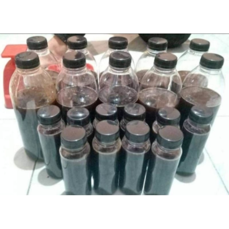 

MADU HITAM AKASIA