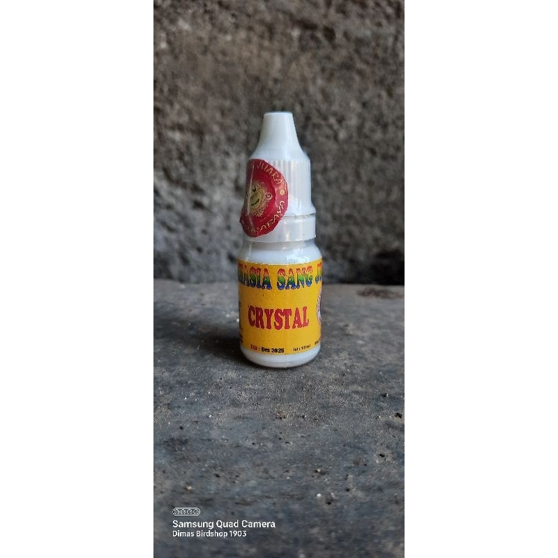 crystal rahasia sang juara