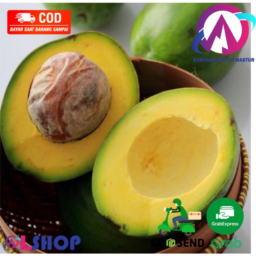 

Buah Segar Alpukat Mentega Premium 1KG Jus Sehat Fresh Pokat Kocok BAM Pasar Online Murah Padang