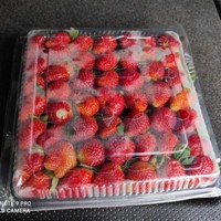 

Strawberry Fresh Premium Ciwidey (1kg)