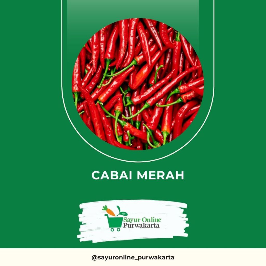 

Cabai Merah - Sayur Online Purwakarta