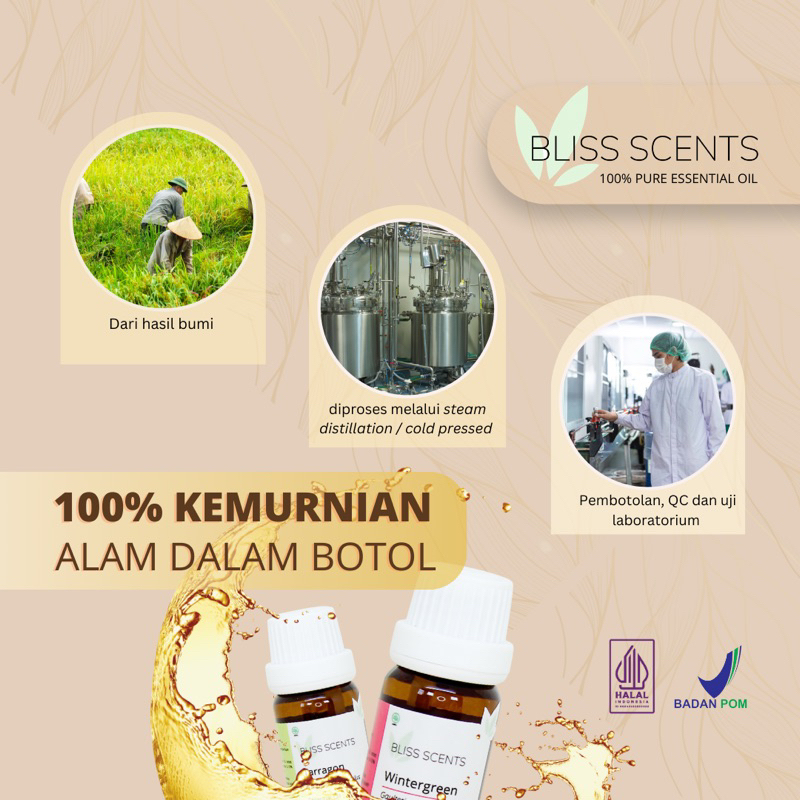 BLISS SCENTS Diffuser Ultrasonic 550ml Model Bawang + 3 essential oil